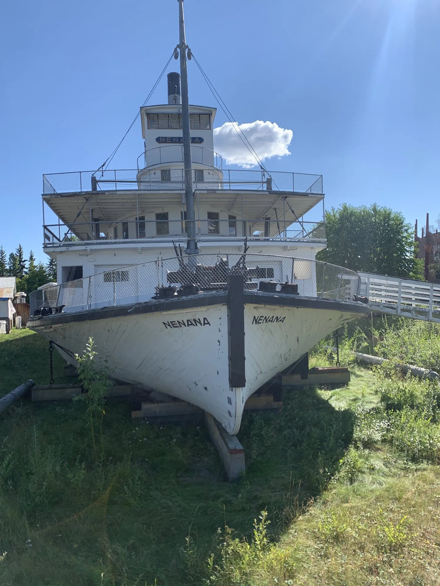 The Nenana seen bow-on, three decks and pilothouse above a white hull on blocking in grass